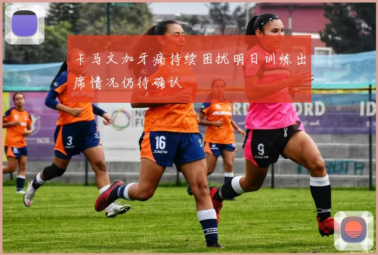 卡马文加牙痛持续困扰明日训练出席情况仍待确认